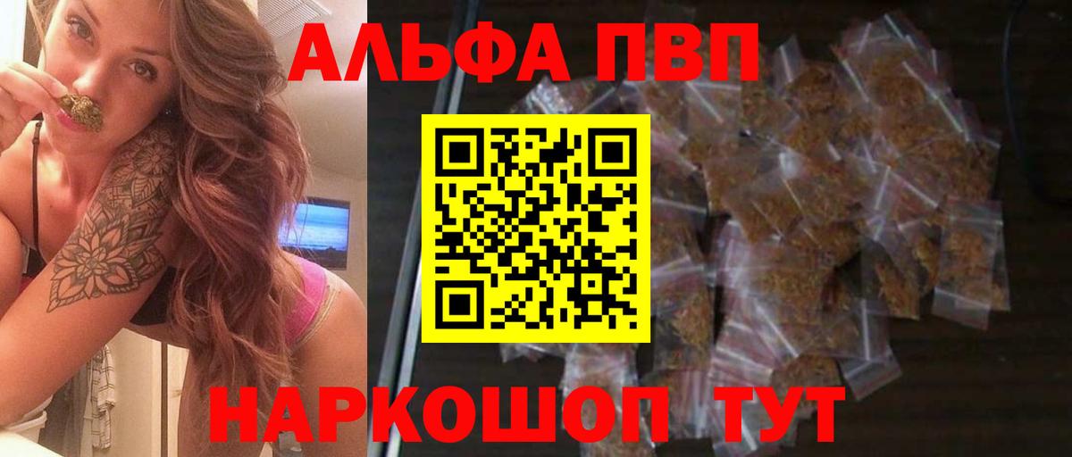 Alfa_PVP СК Саранск