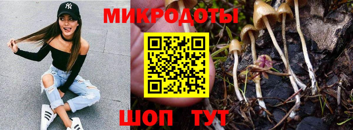 Галлюциногенные грибы Magic Shrooms  Вход с VPN  Галлюциногенные грибы Cubensis  Саранск 