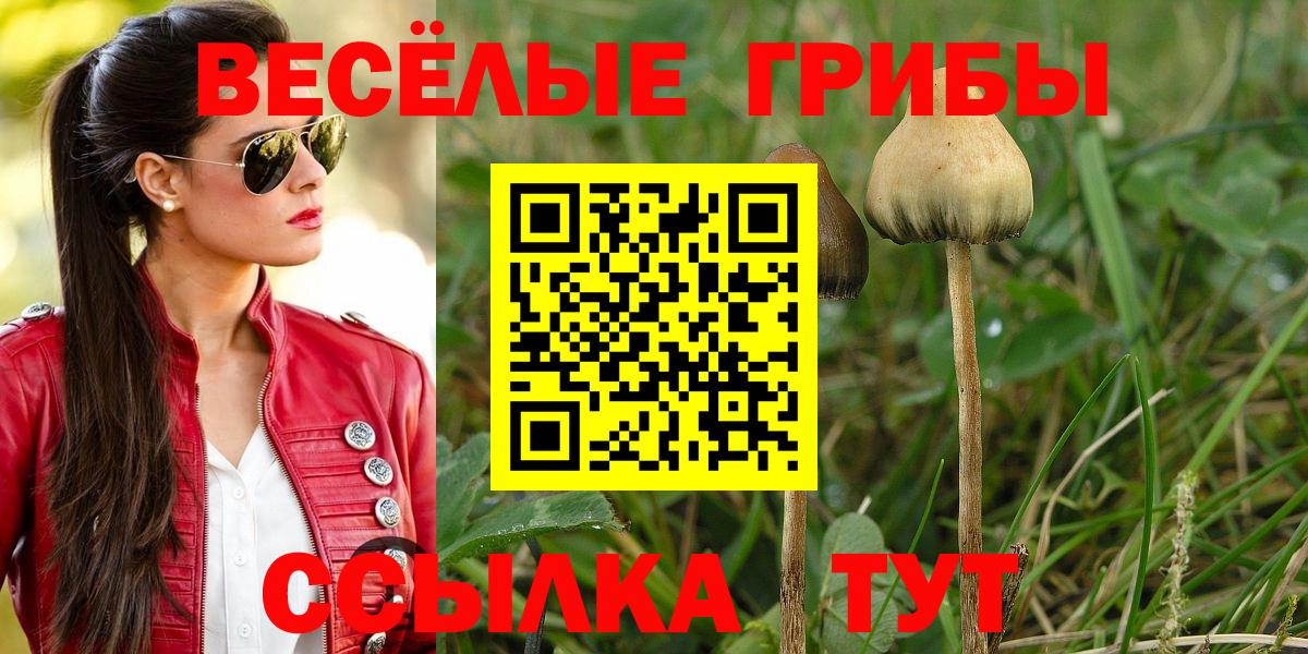 Галлюциногенные грибы Cubensis Саранск